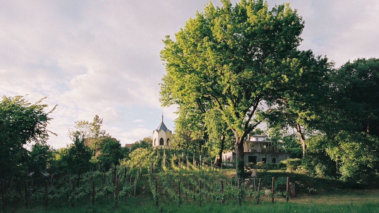 Photo of Others in Werder
