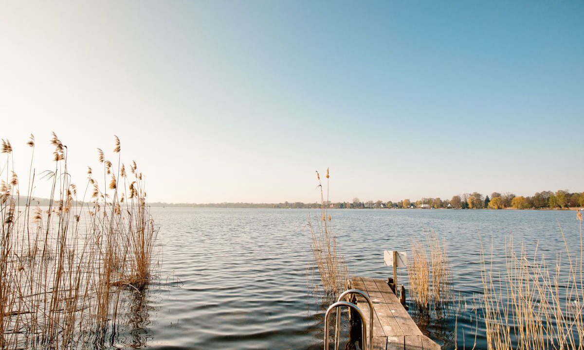 Photo of Others in Werder