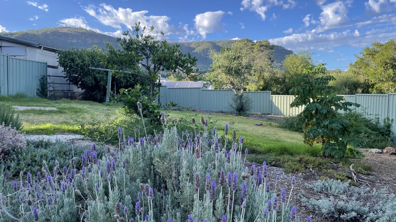 Photo of Outdoor in Kandos