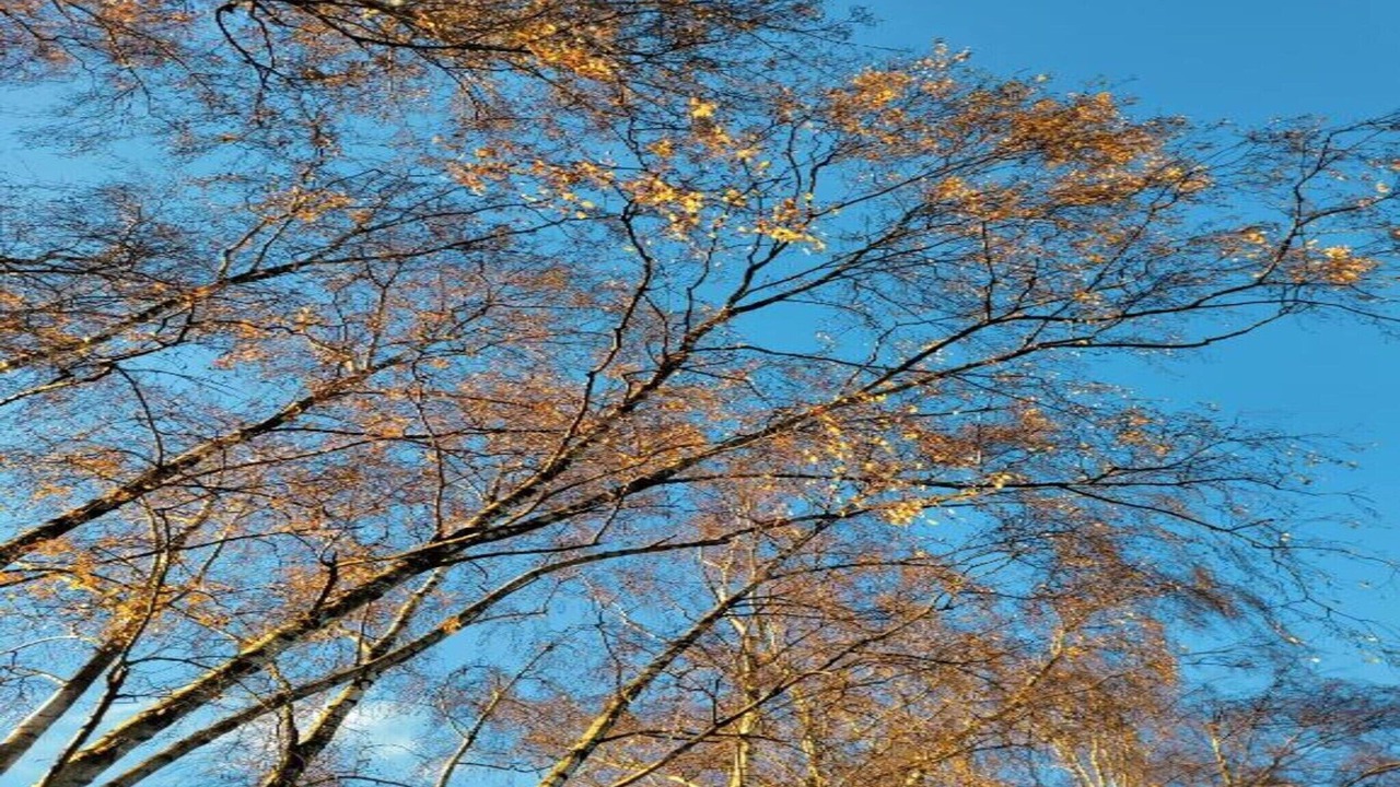 Photo of Others in Meirgoorhoeve