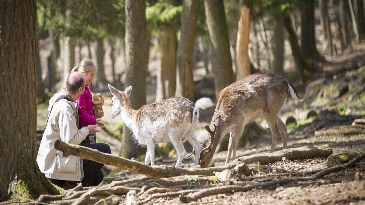 Photo of Others in Meirgoorhoeve