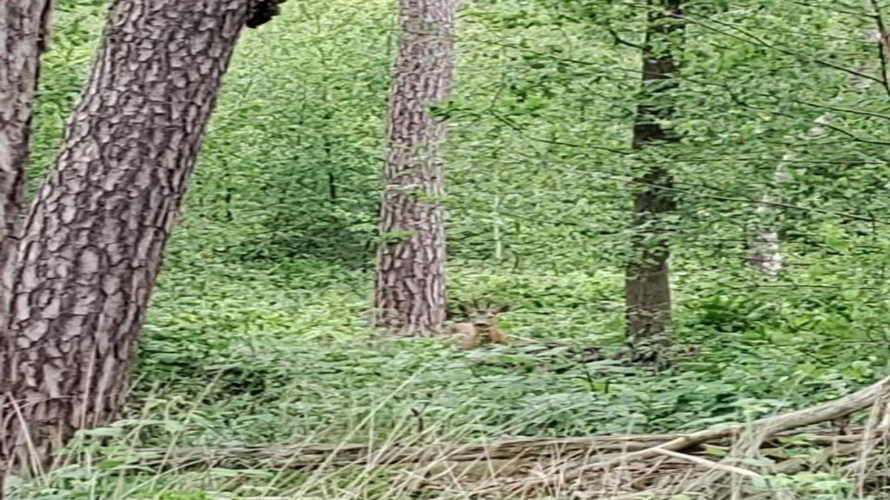 Photo of Others in Meirgoorhoeve