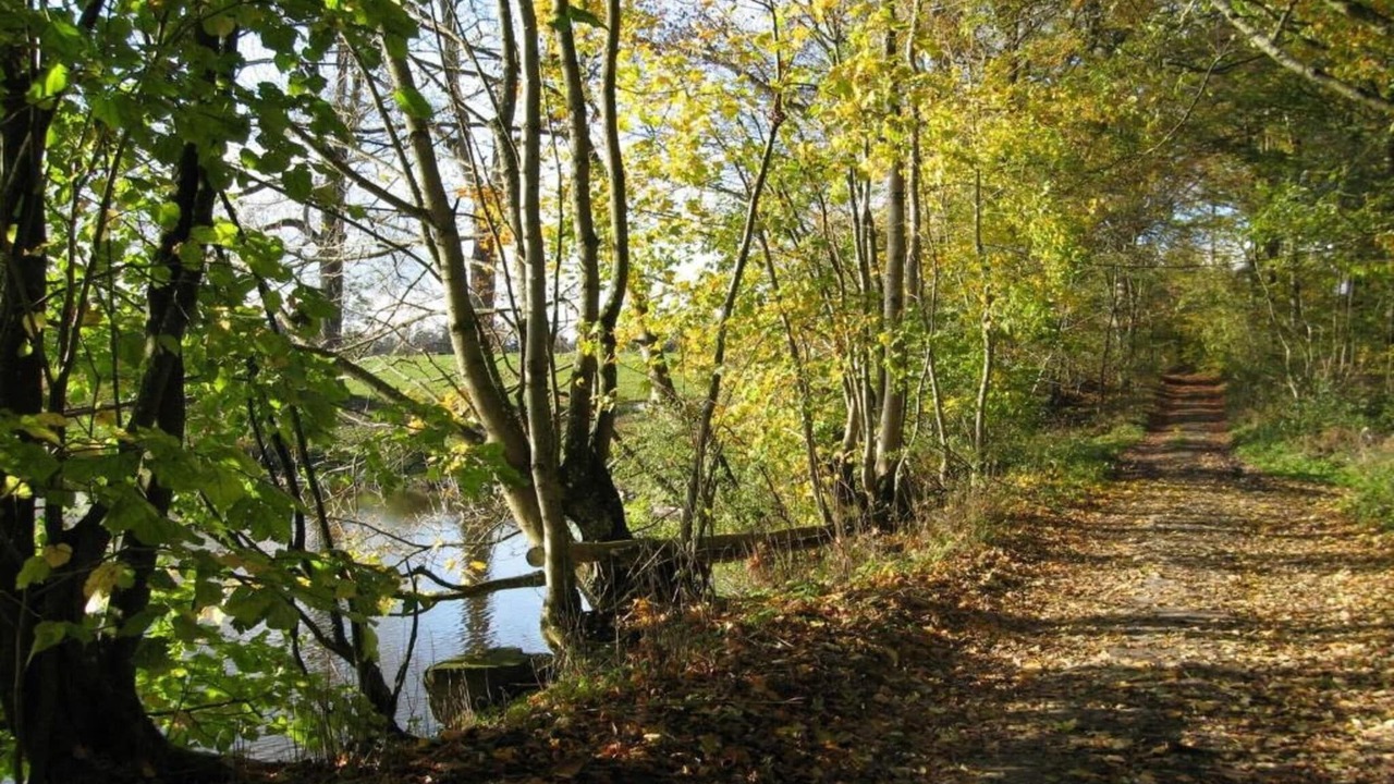 Photo of Others in Bournoufay