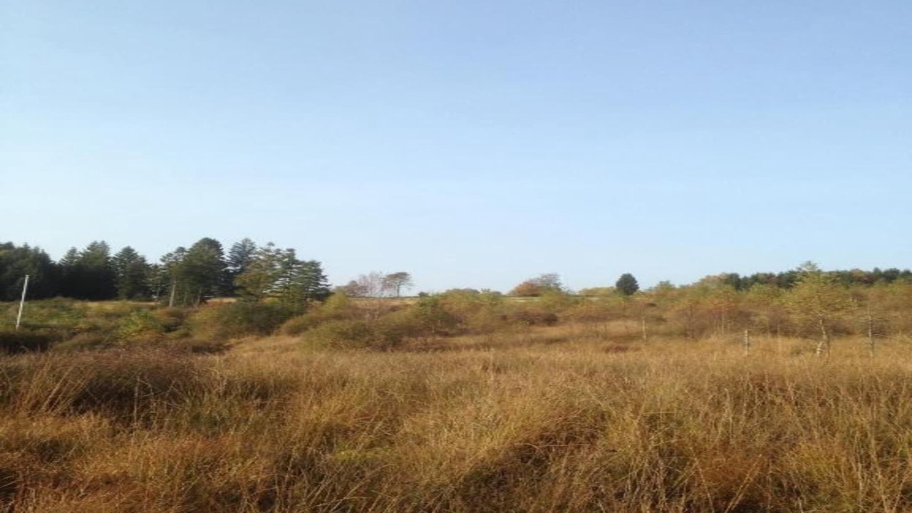 Photo of Others in Bournoufay