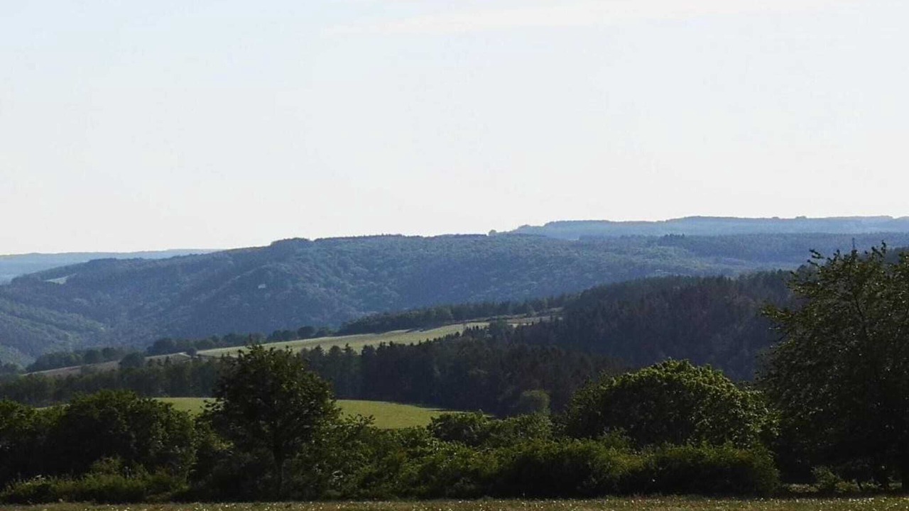 Photo of Others in Bournoufay
