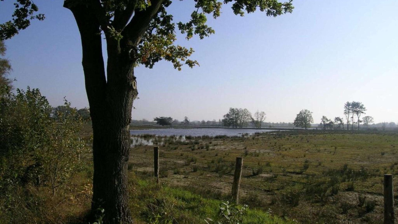 Photo of Others in Meirgoorhoeve