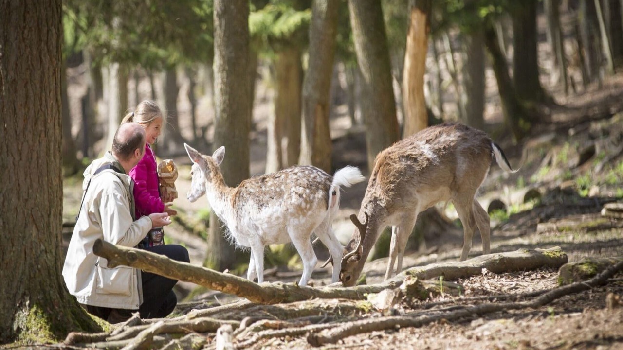 Photo of Others in Meirgoorhoeve