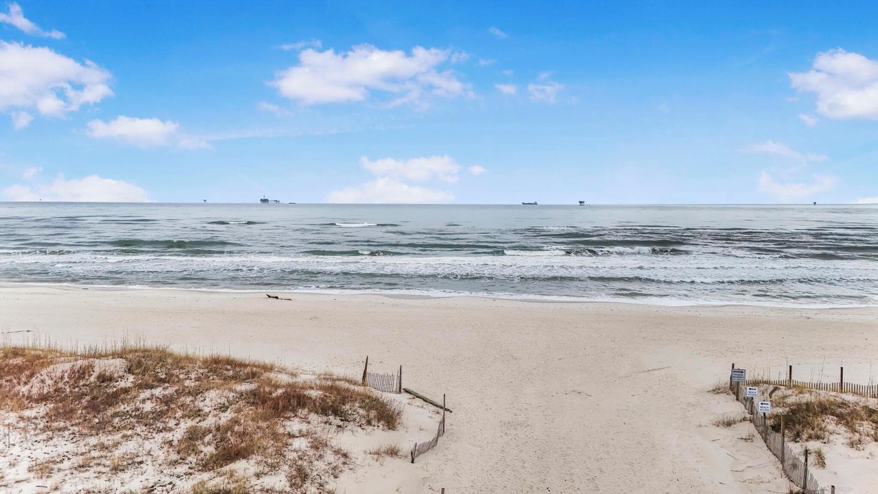 Photo of Others in Fort Morgan Pines