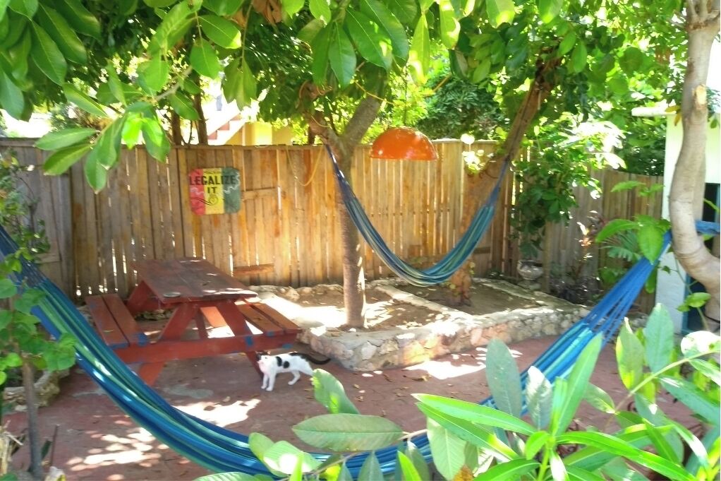 Photo of Outdoor in Treasure Beach