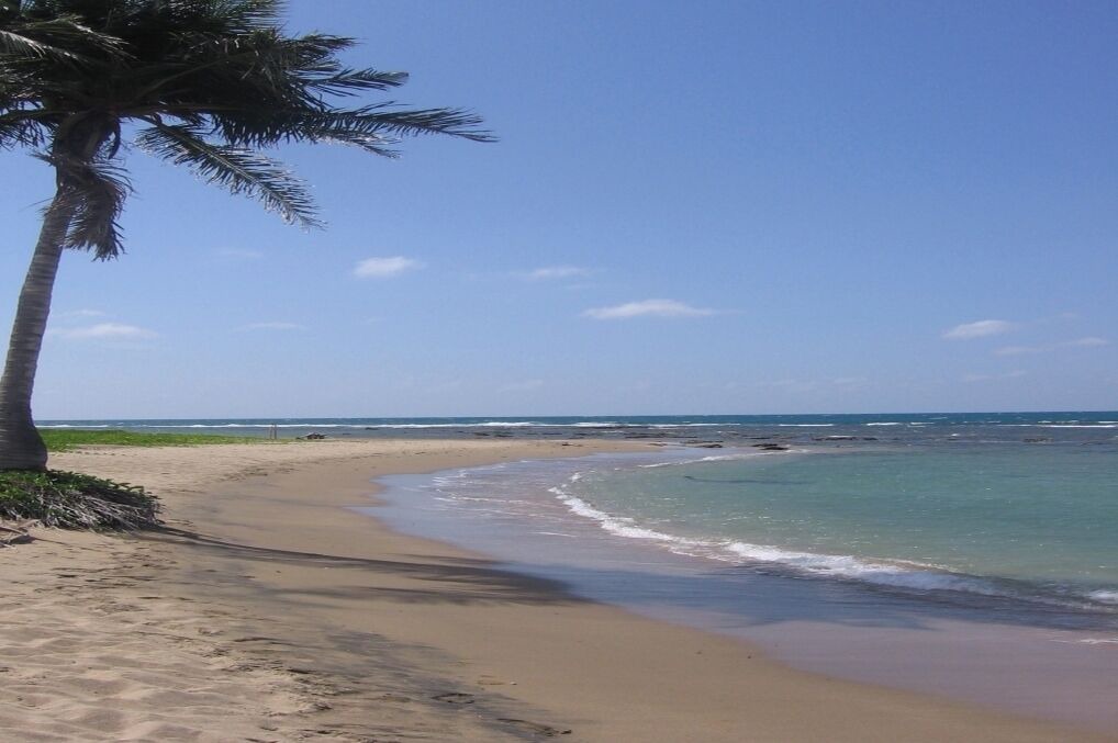 Photo of Others in Treasure Beach