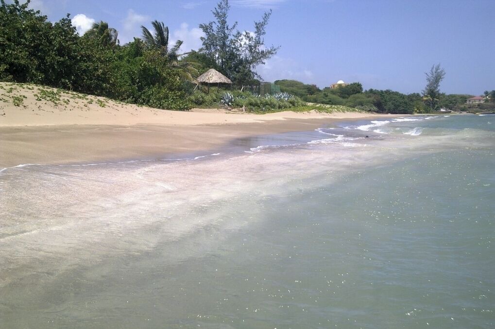 Photo of Others in Treasure Beach