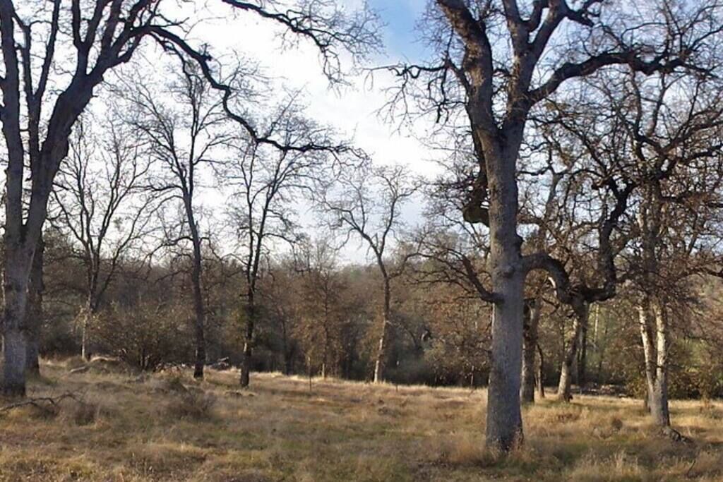 Photo of Others in Midpines