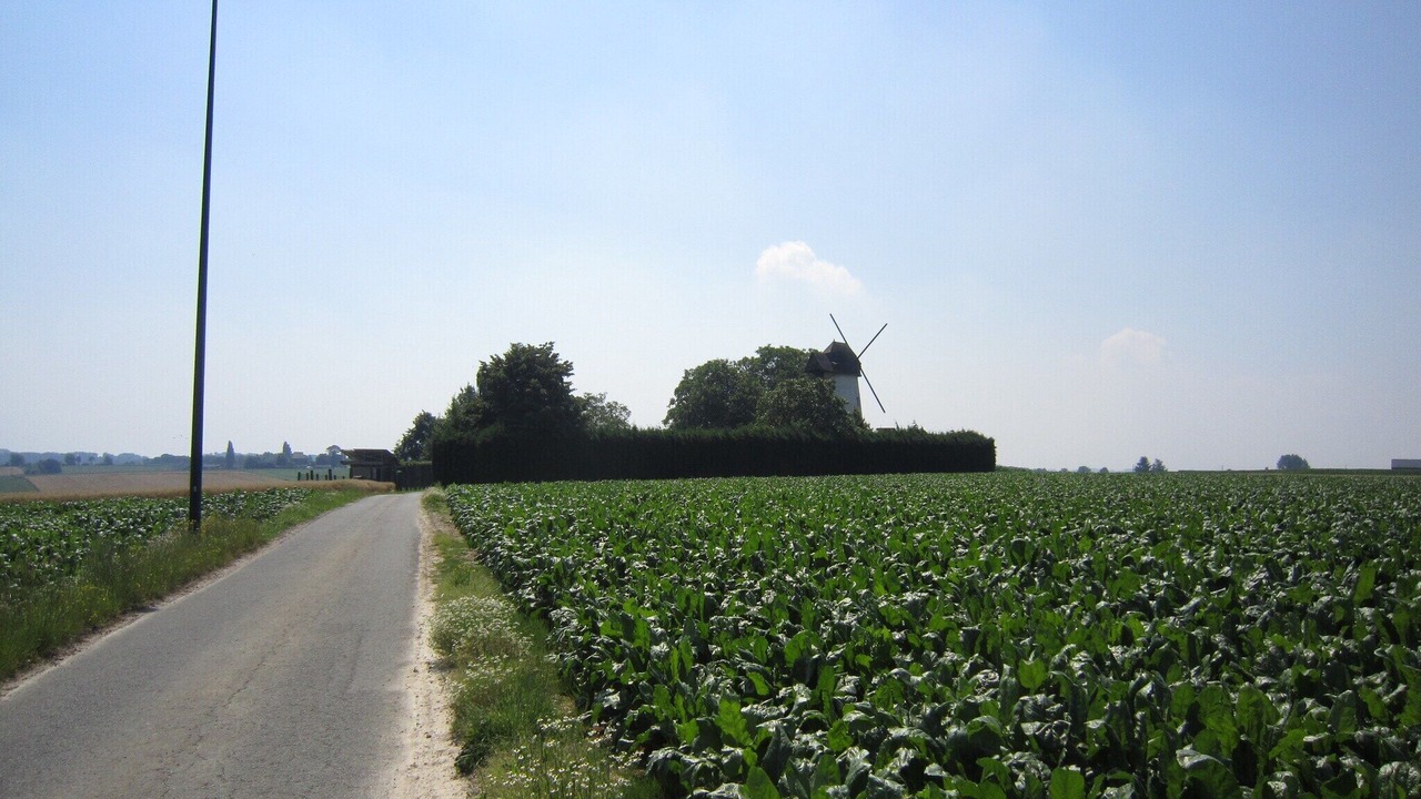 Photo of Others in Horebeke