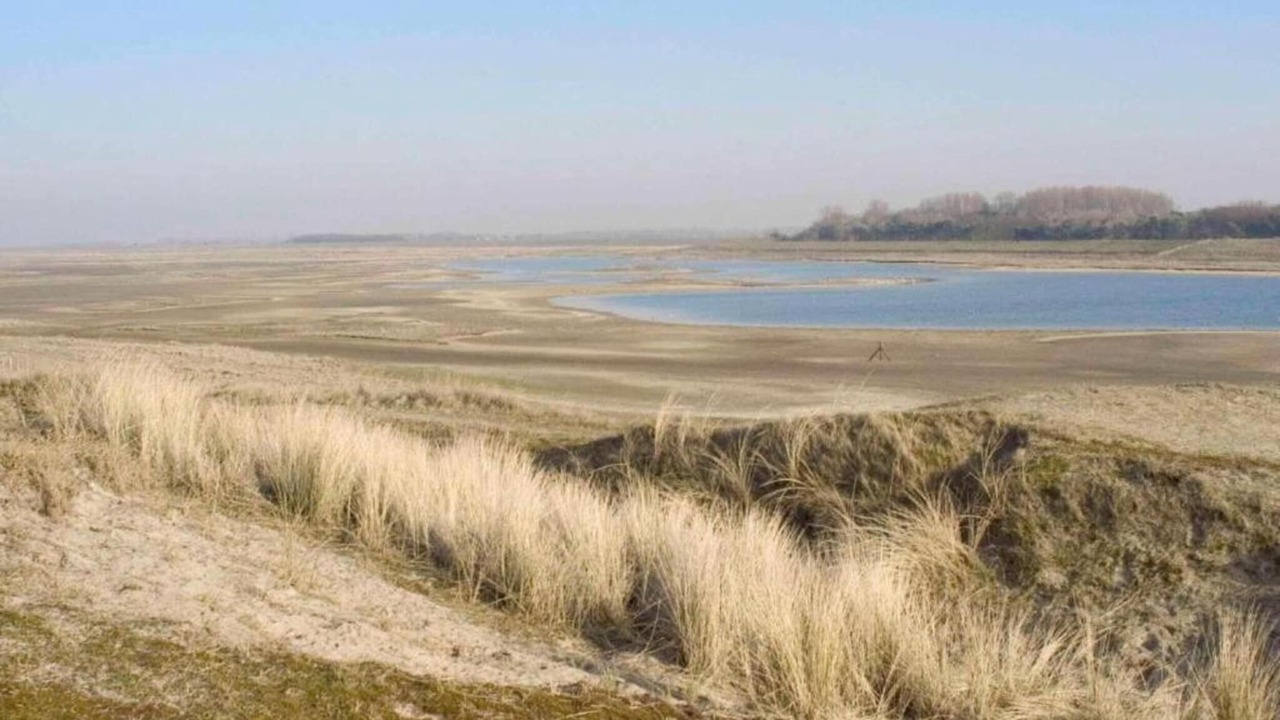 Photo of Others in Horebeke