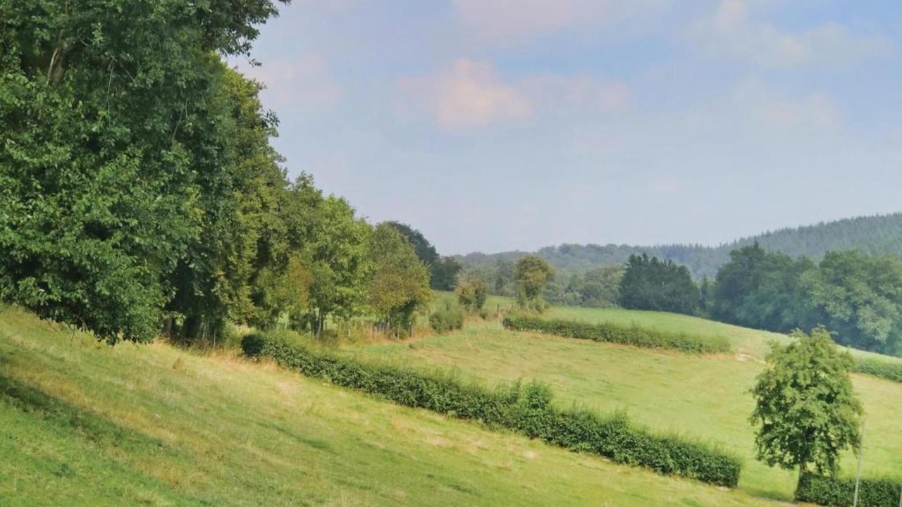 Photo of Others in Verviers
