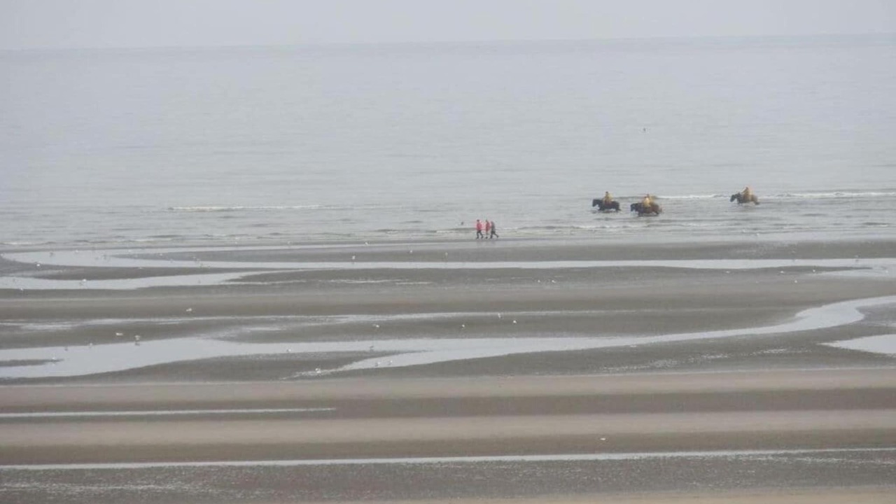 Photo of Others in Oostduinkerke-Bad