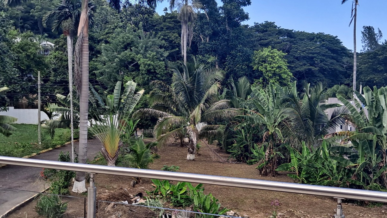 Photo of Outdoor in Albion