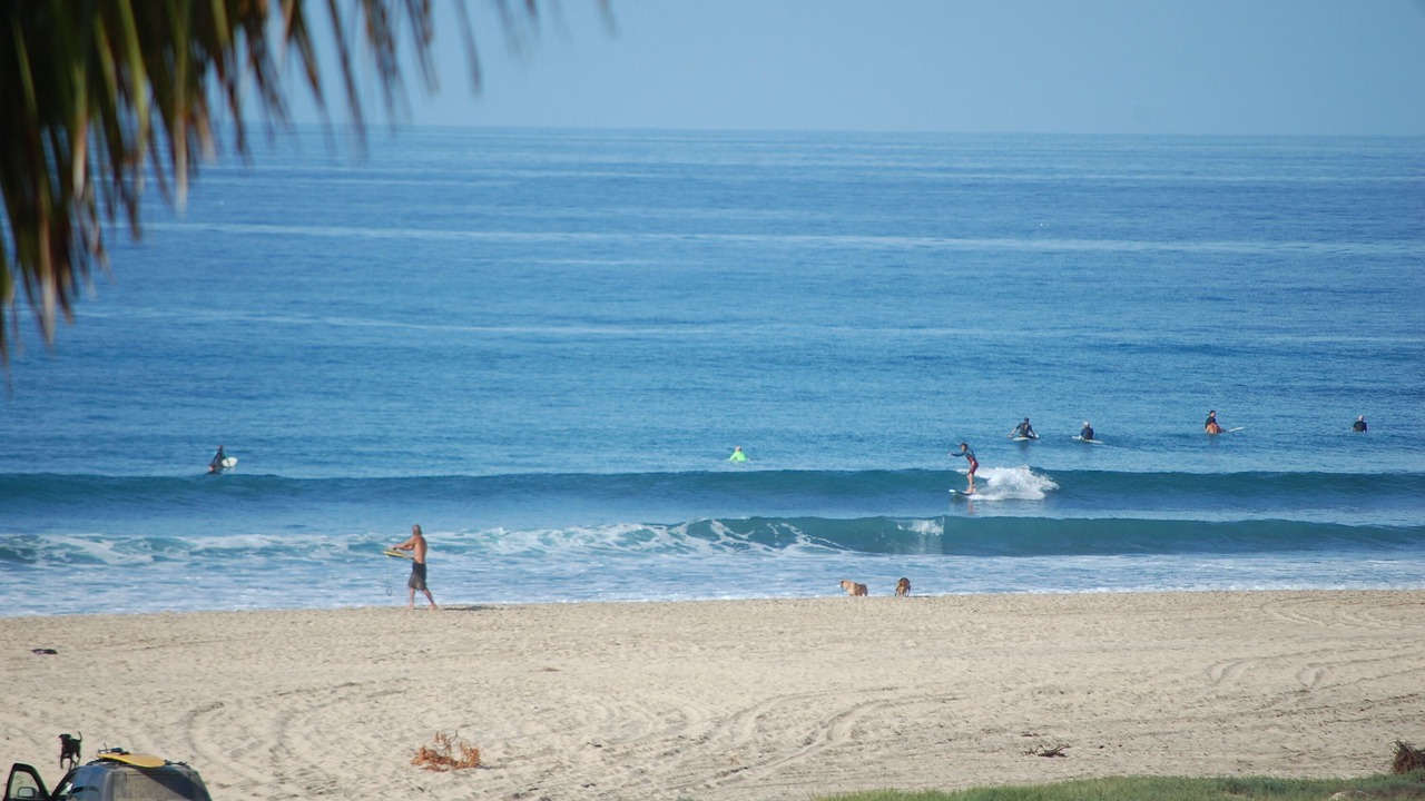 Photo of Others in El Pescadero