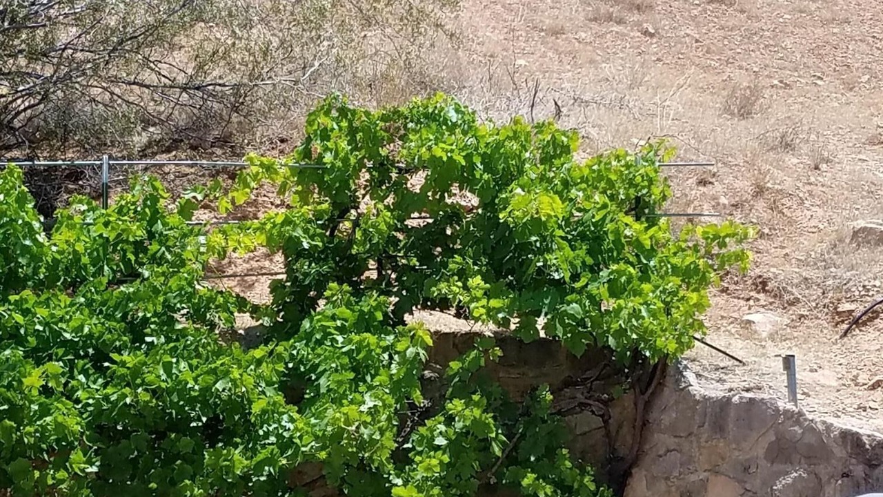 Photo of Outdoor in La Verkin