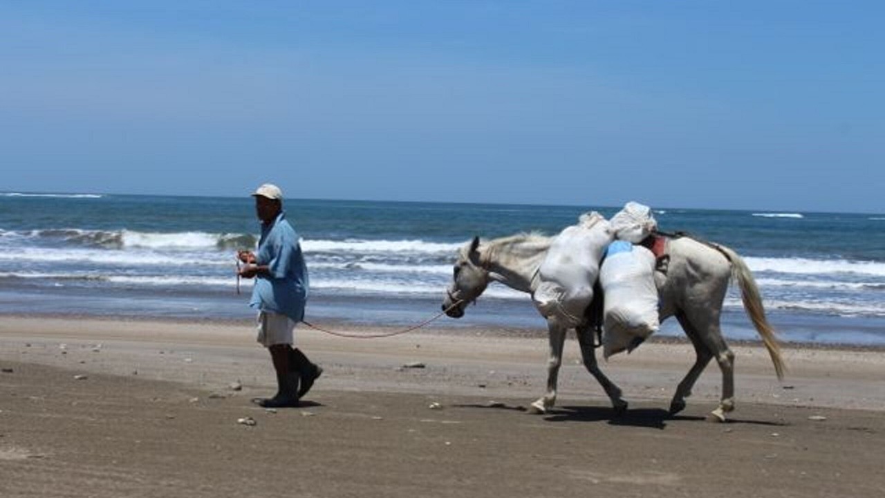 Photo of Others in Playa Hermosa Cobano