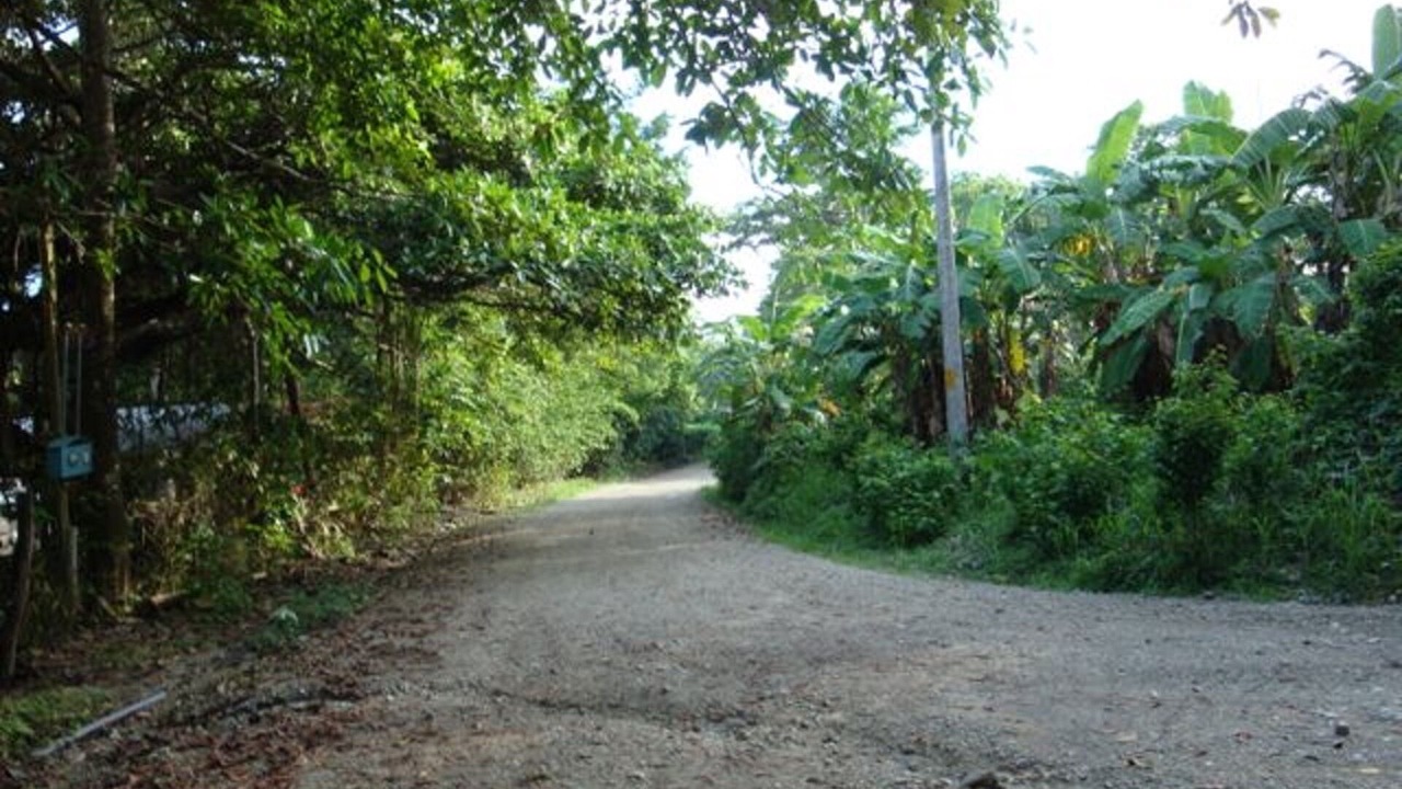 Photo of Others in Playa Hermosa Cobano