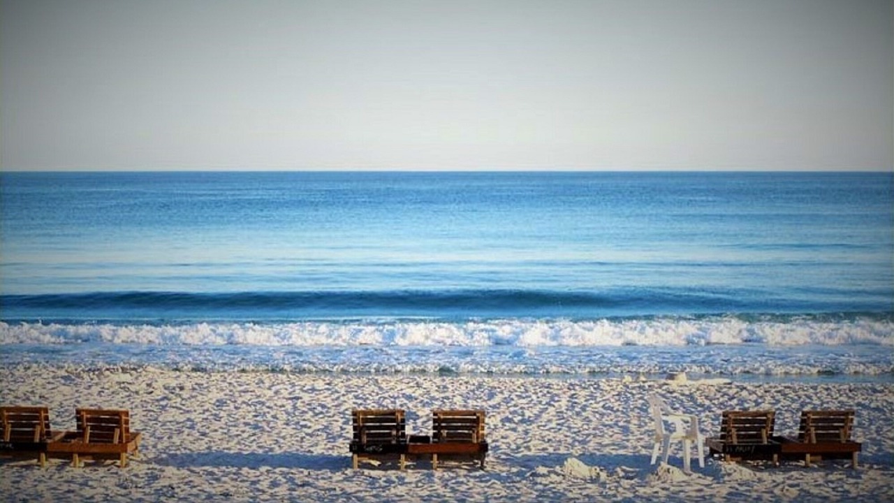 Photo of Others in Orange Beach East