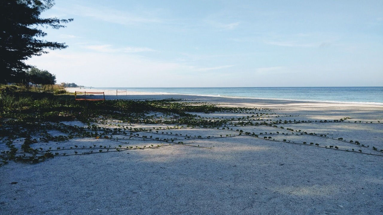 Photo of Others in Holmes Beach