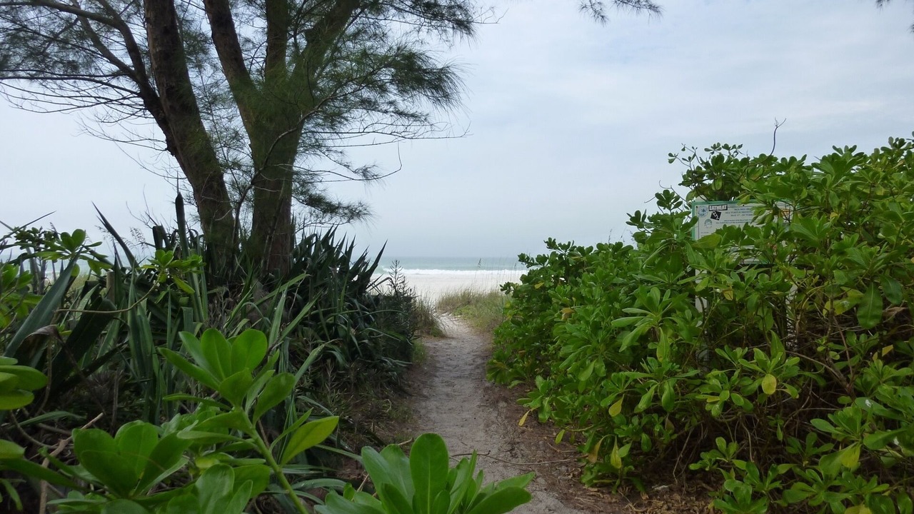 Photo of Others in Holmes Beach