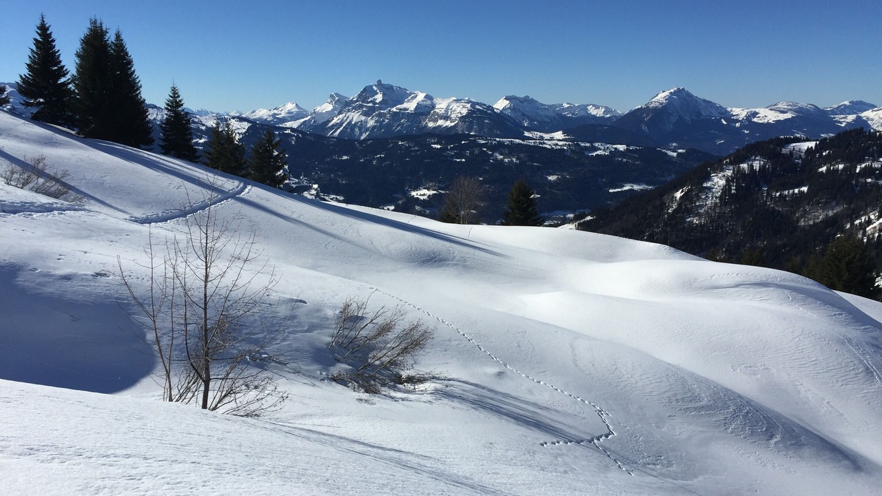 Photo of Others in Samoens