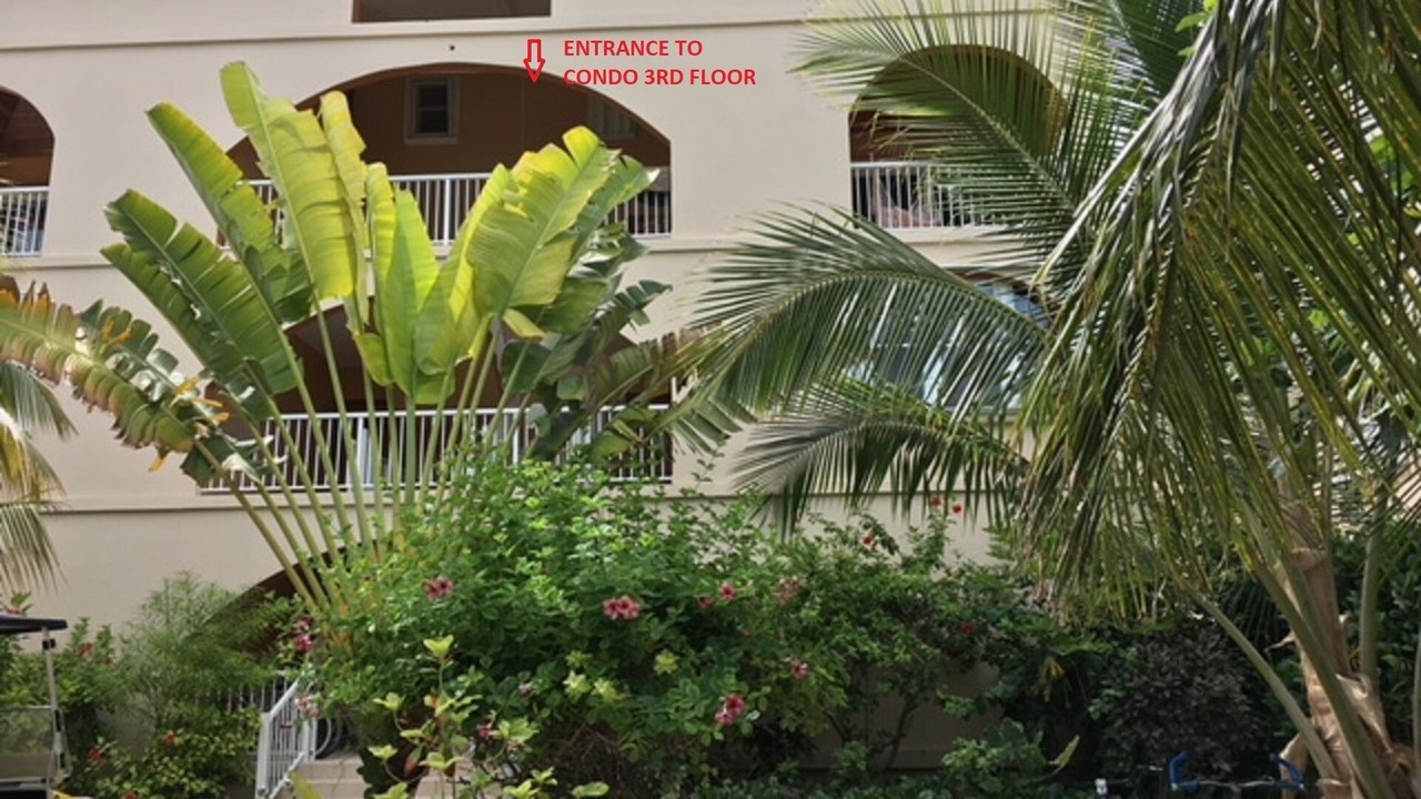 Photo of Outdoor in San Pedro