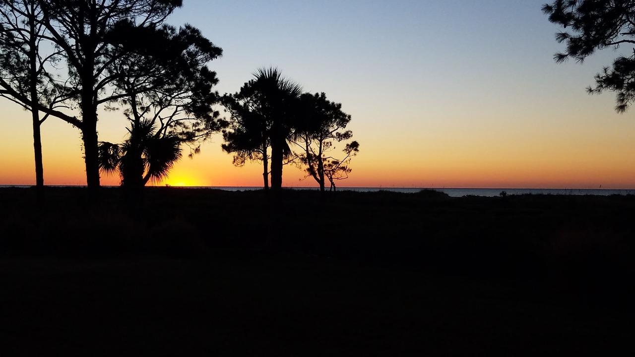 Photo of Others in Hilton Head Island