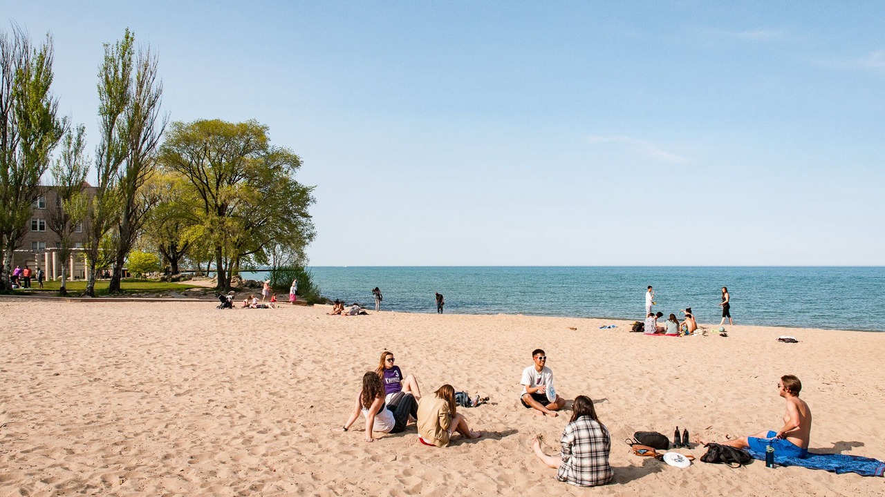 Photo of Others in Rogers Park