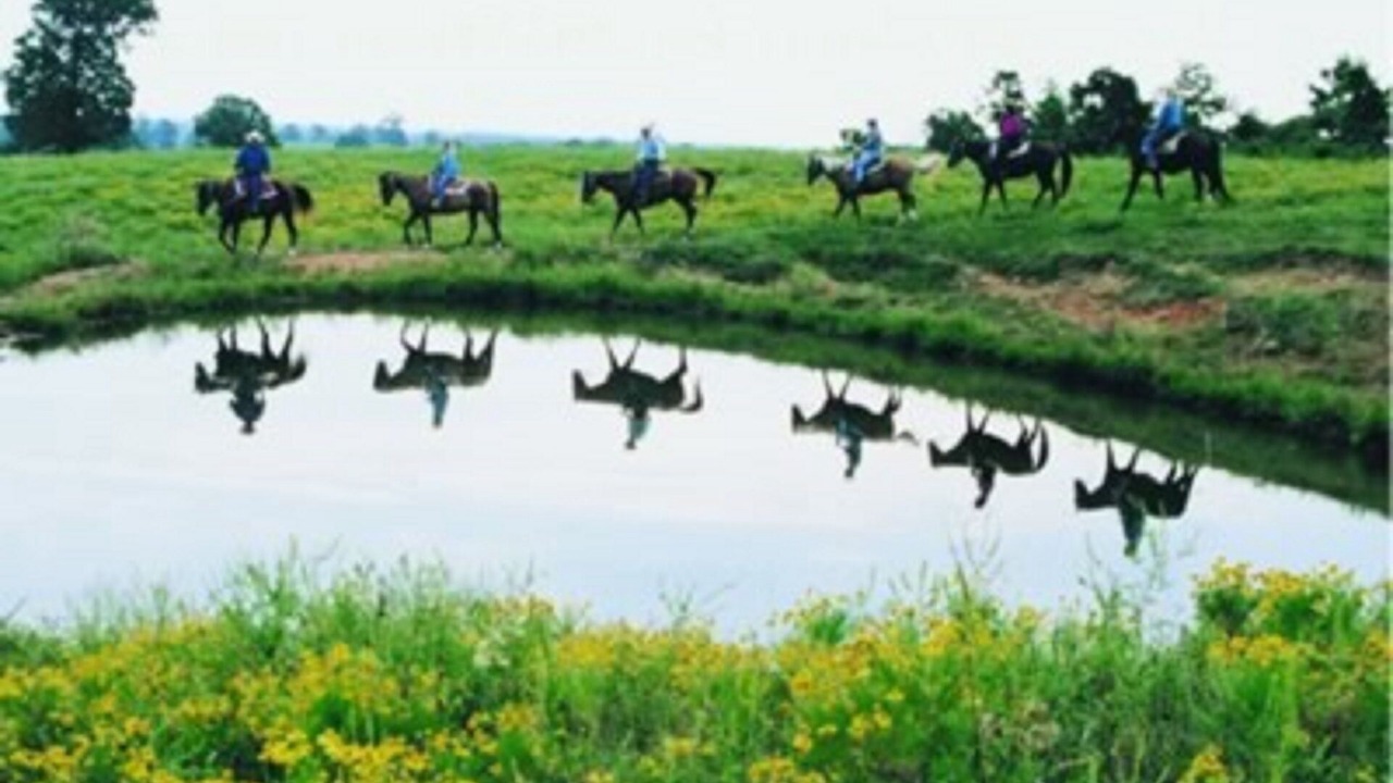 Photo of Others in Table Rock