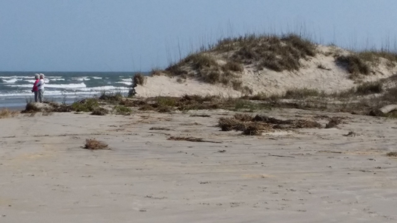 Photo of Others in Seabrook Island