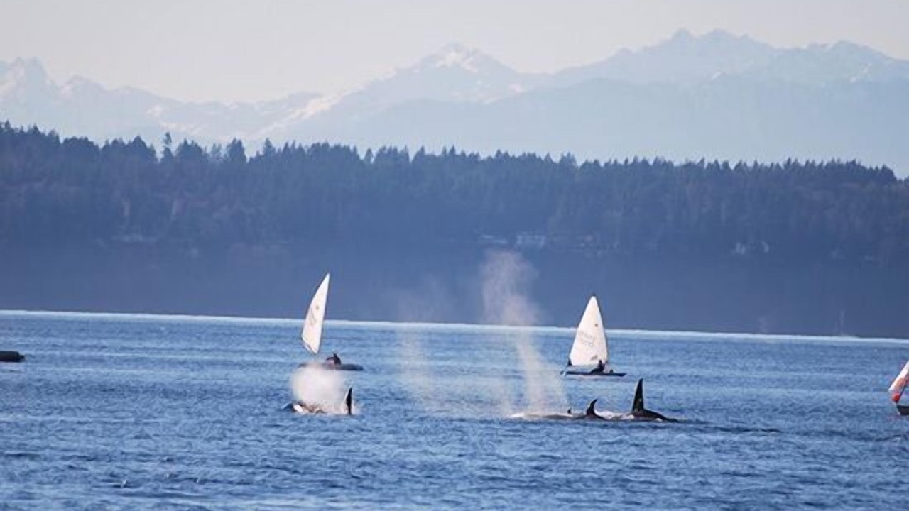 Photo of Outdoor in Ballard
