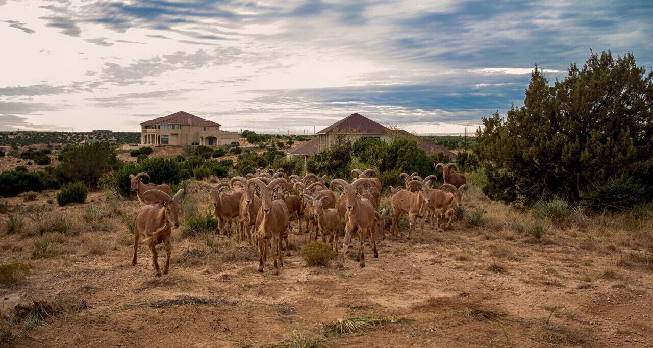 Photo of Others in Canyon