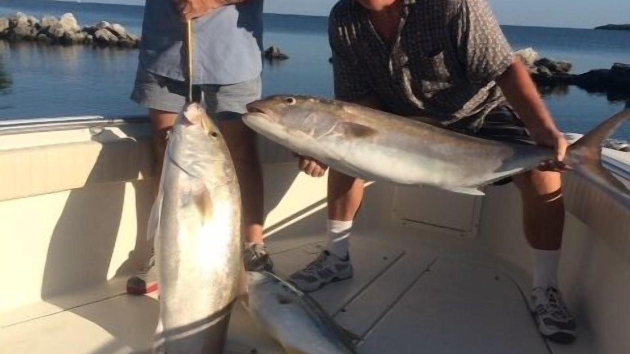 Photo of Outdoor in Long Key
