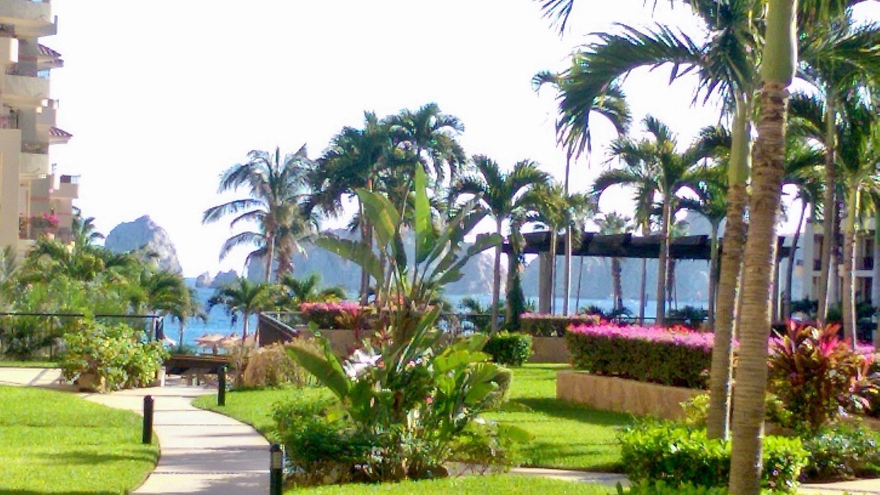 Photo of Others in Los Cabos