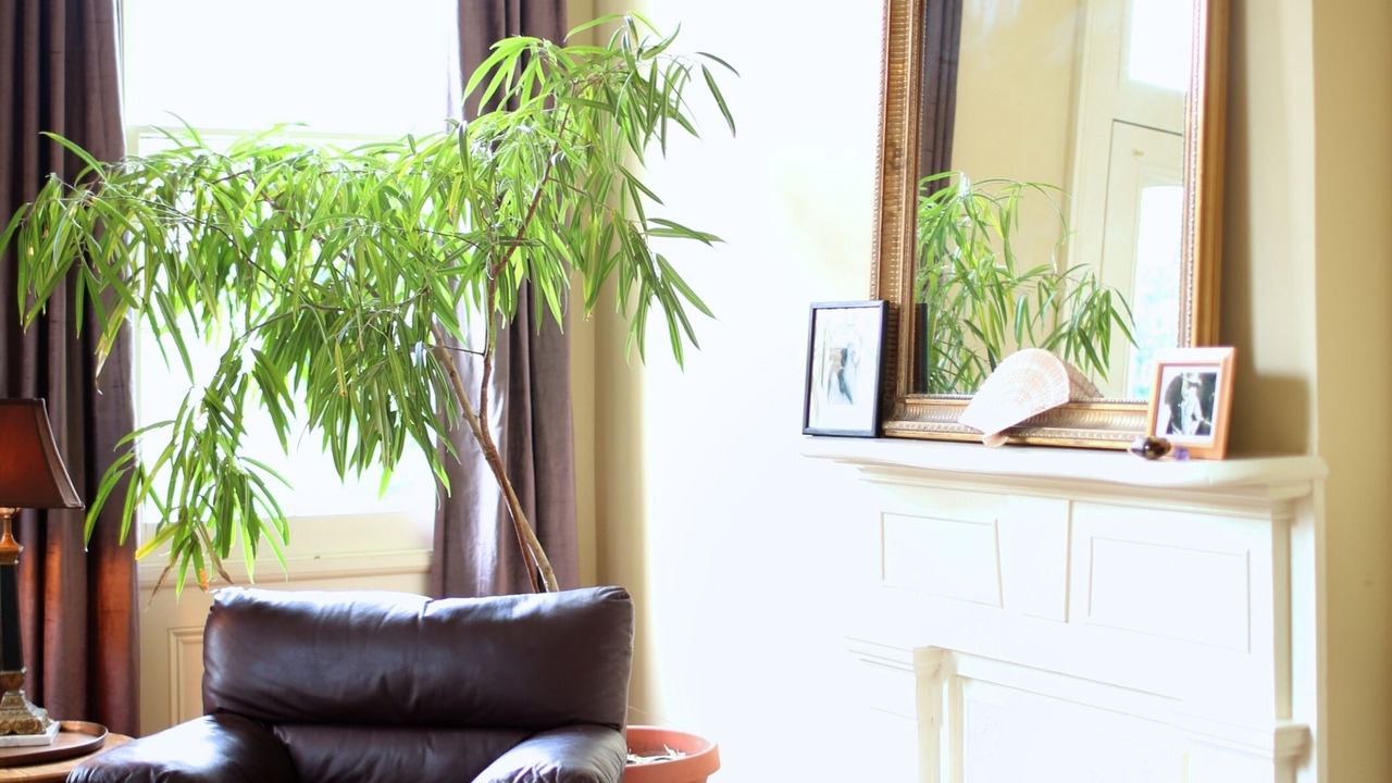 Photo of Livingroom in Bywater