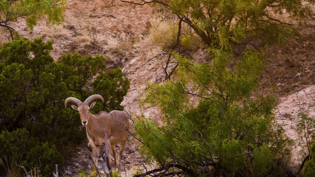 Photo of Others in Canyon