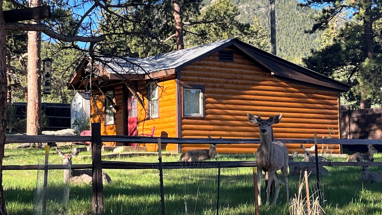 Photo of Others in Estes Park