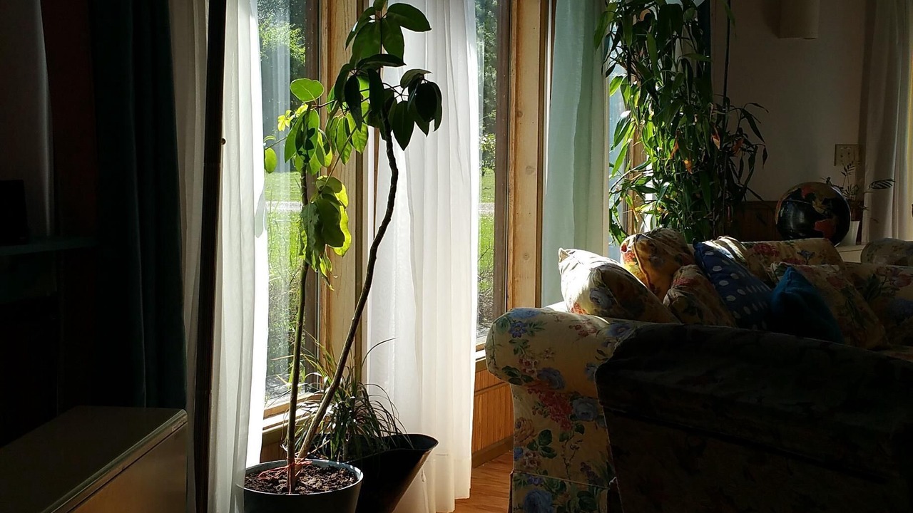 Photo of Livingroom in Finlayson