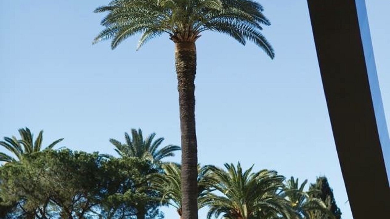 Photo of Outdoor in Old Town