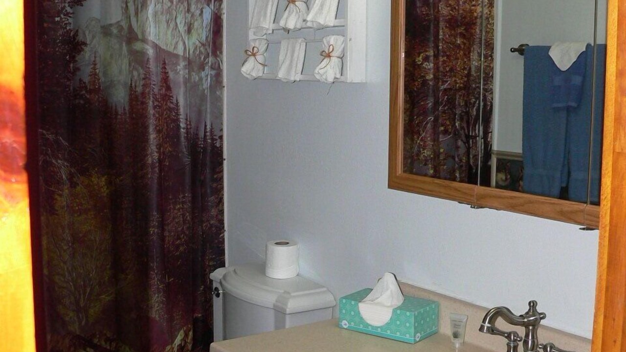 Photo of Bathroom in Pine