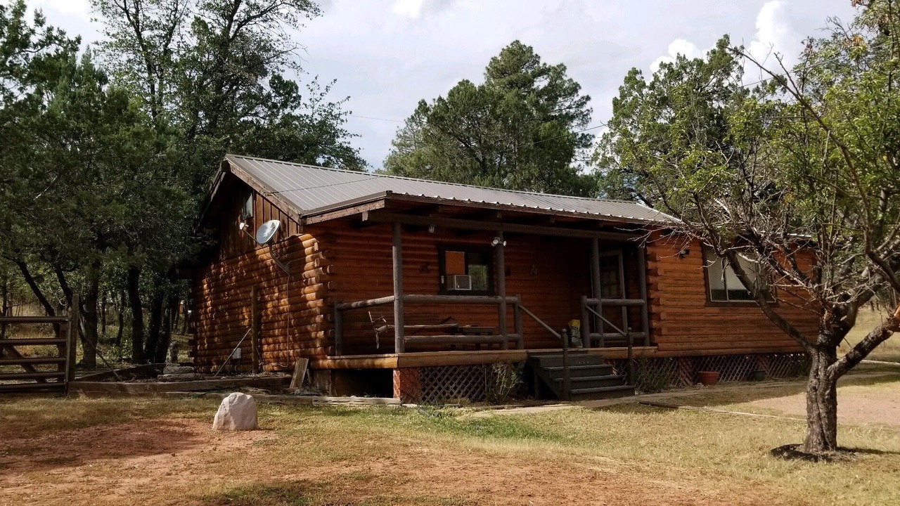 Photo of Others in Pine