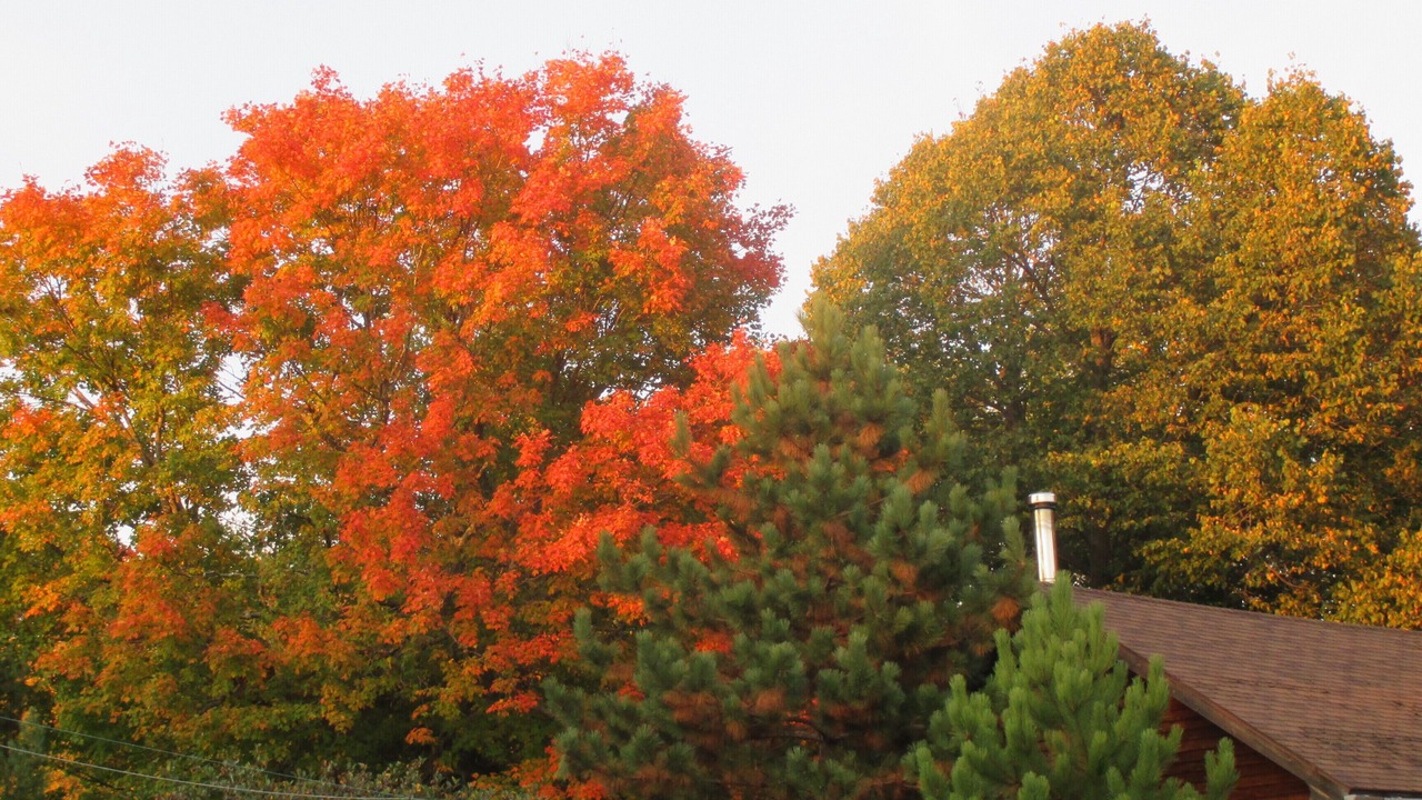 Photo of Outdoor in Finlayson