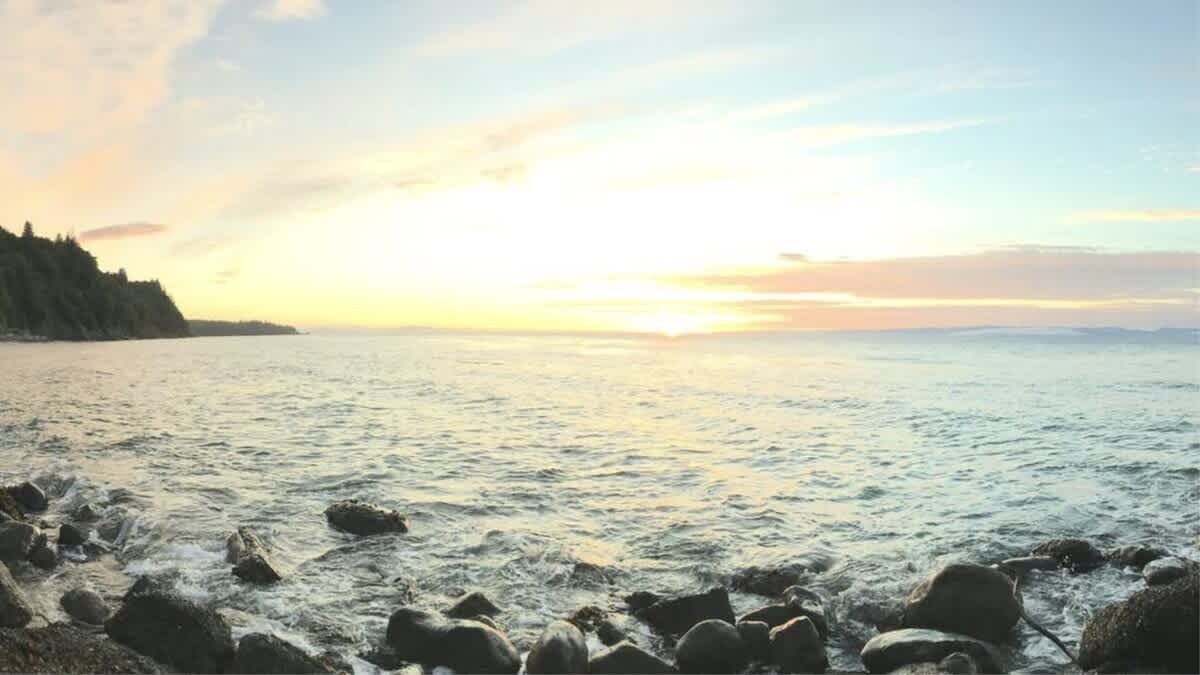 Photo of Others in Port Angeles