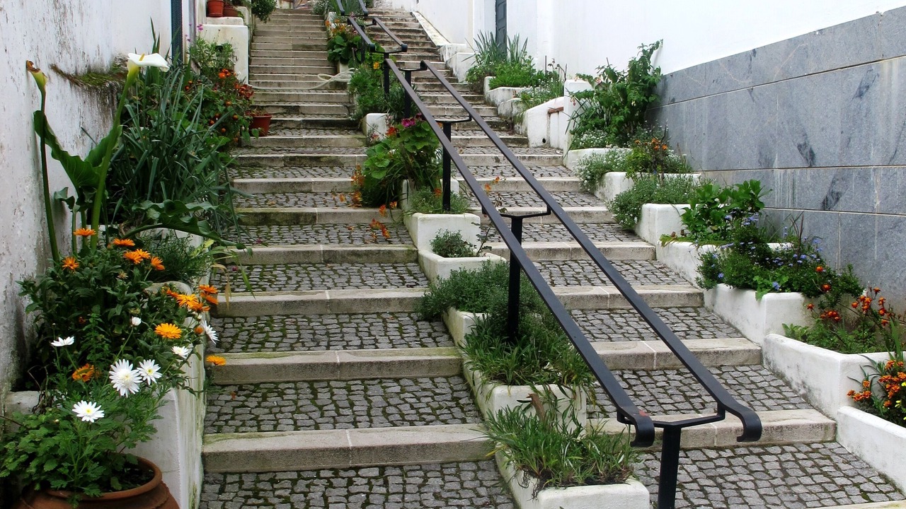 Photo of Outdoor in Baiona