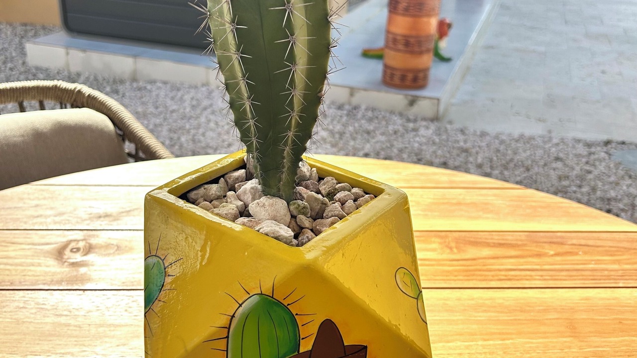 Photo of Outdoor in Oranjestad-West
