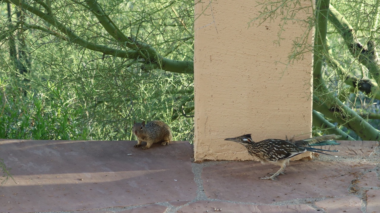 Photo of Others in Milagrosa Hills